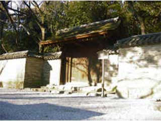 matsuta