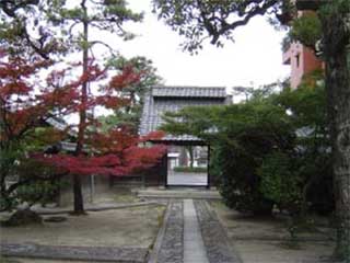 matsuta
