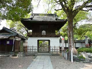 matsuta